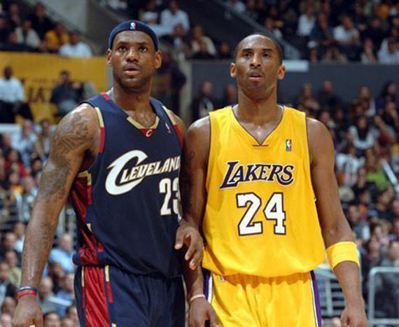 长收肌肌腱 长收肌肌腱