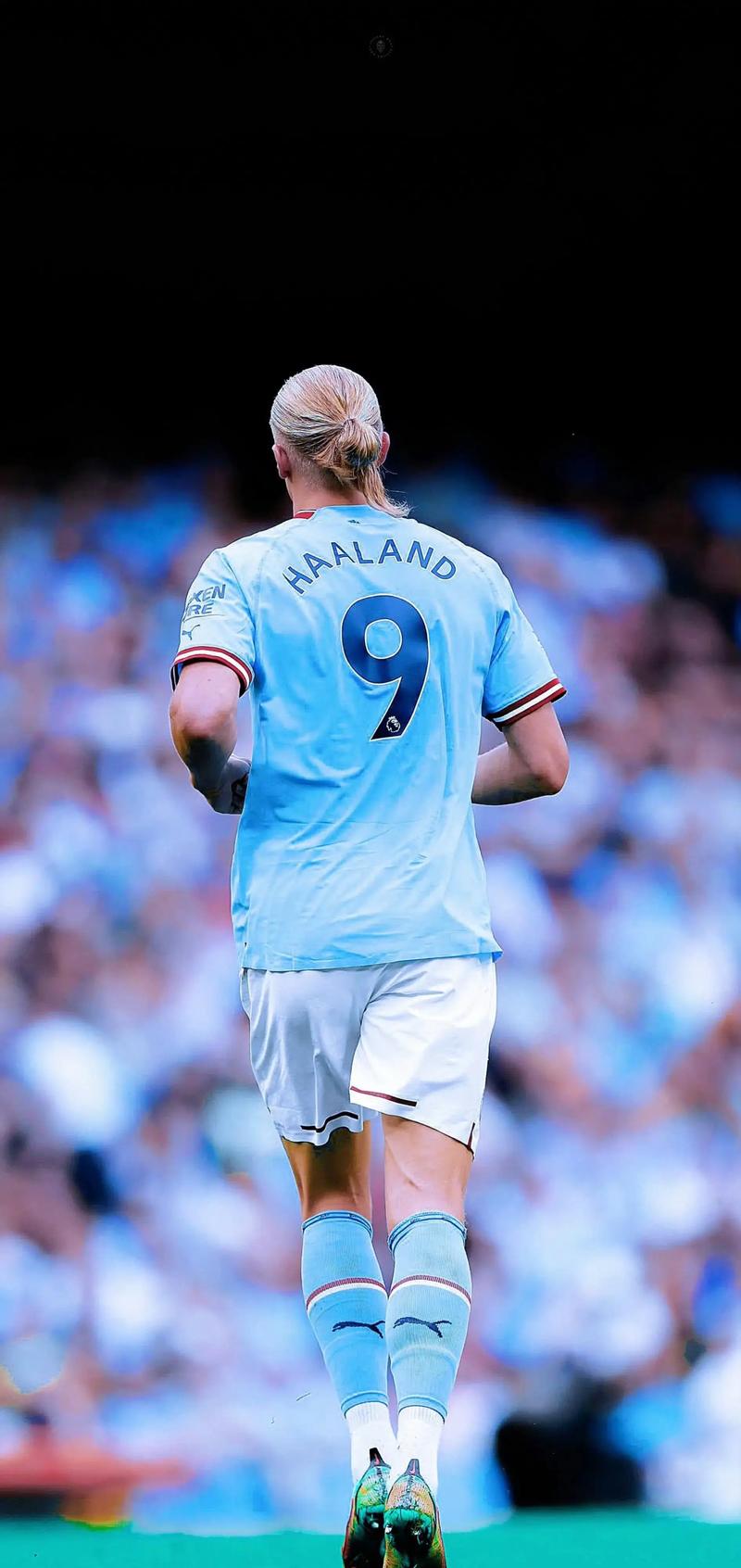 部的号召力 部的号召力